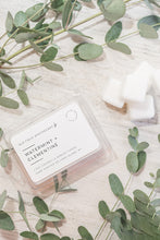 Load image into Gallery viewer, Watermint + Clementine