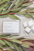 Load image into Gallery viewer, Mistletoe