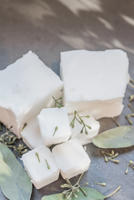 Load image into Gallery viewer, Watermint + Clementine