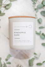 Pineapple Sage